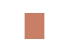 Clinique True Bronze Pressed Powder Bronzer (Sunblushed) 9,6 g