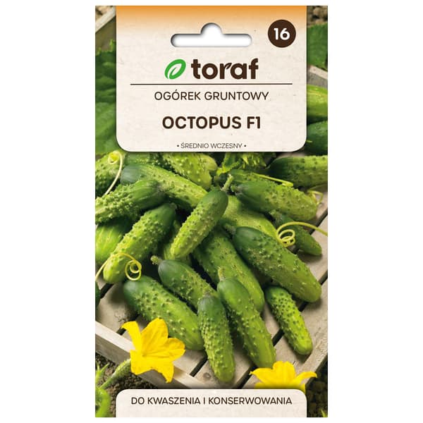 Agurkfrø Octopus F1 - Medium og høytytende for sylting