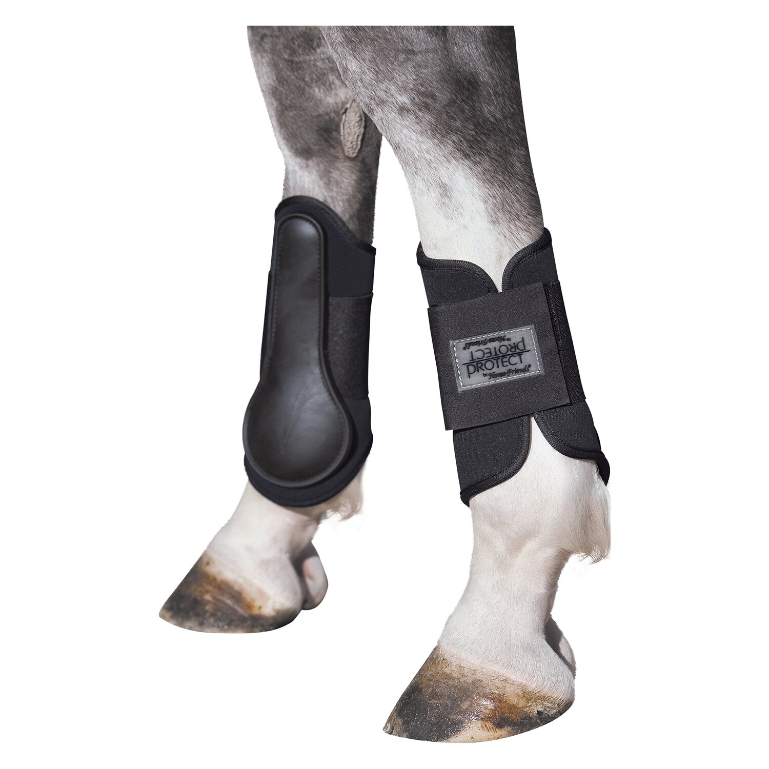 PROTECT by Horse-Friends Hippopren-Gamaschen, hinten  - schwarz