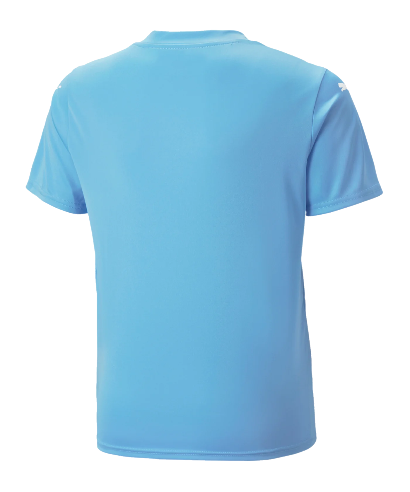 PUMA teamULTIMATE Trikot Kids Blau F18