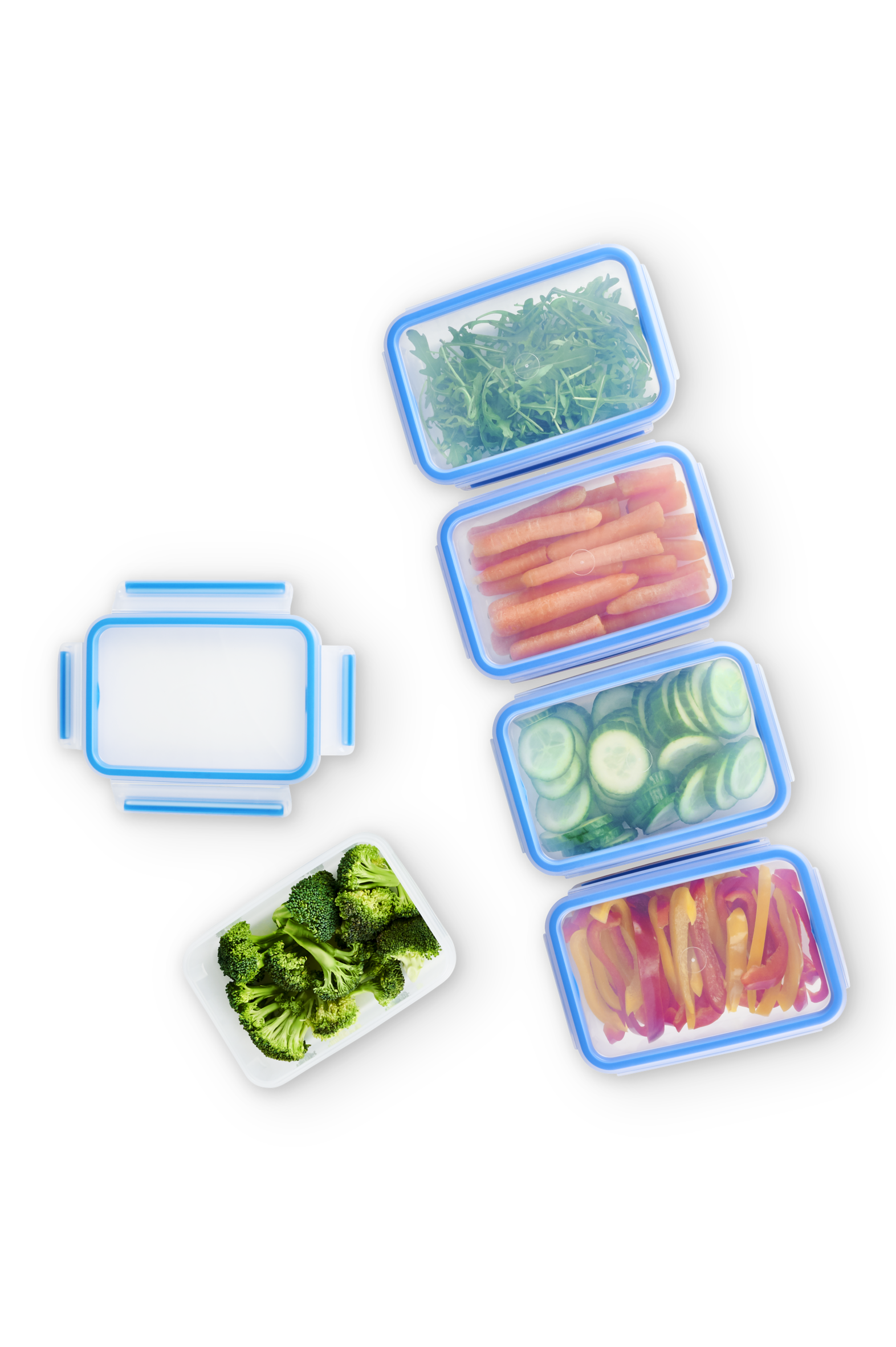 MasterSeal Fresh N1030710 Mealprep Set rechthoekig (5 x 0,8L)