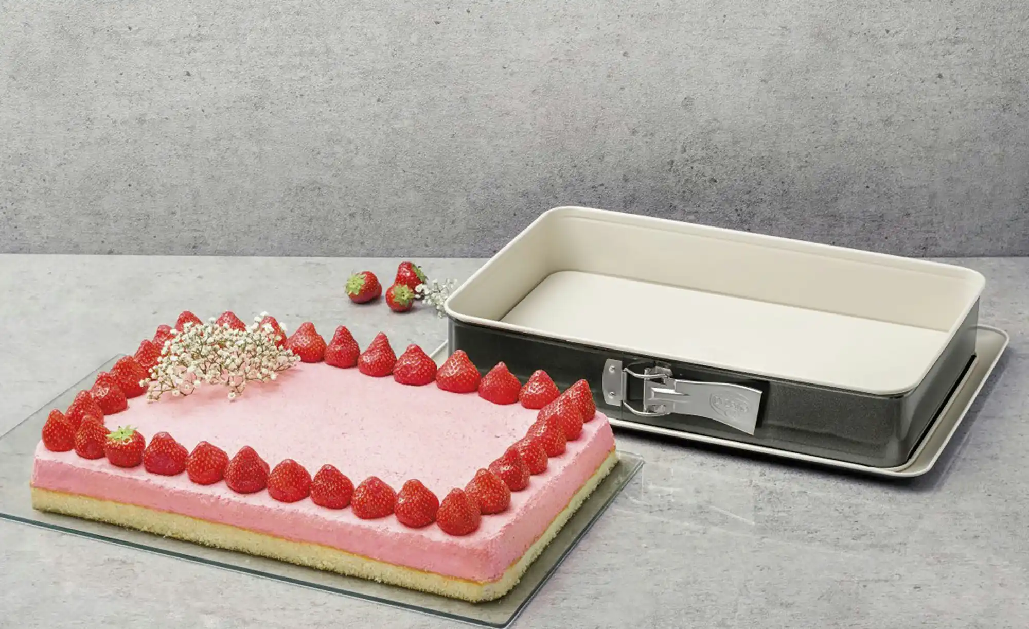Dr. Oetker Springform Back-Trend