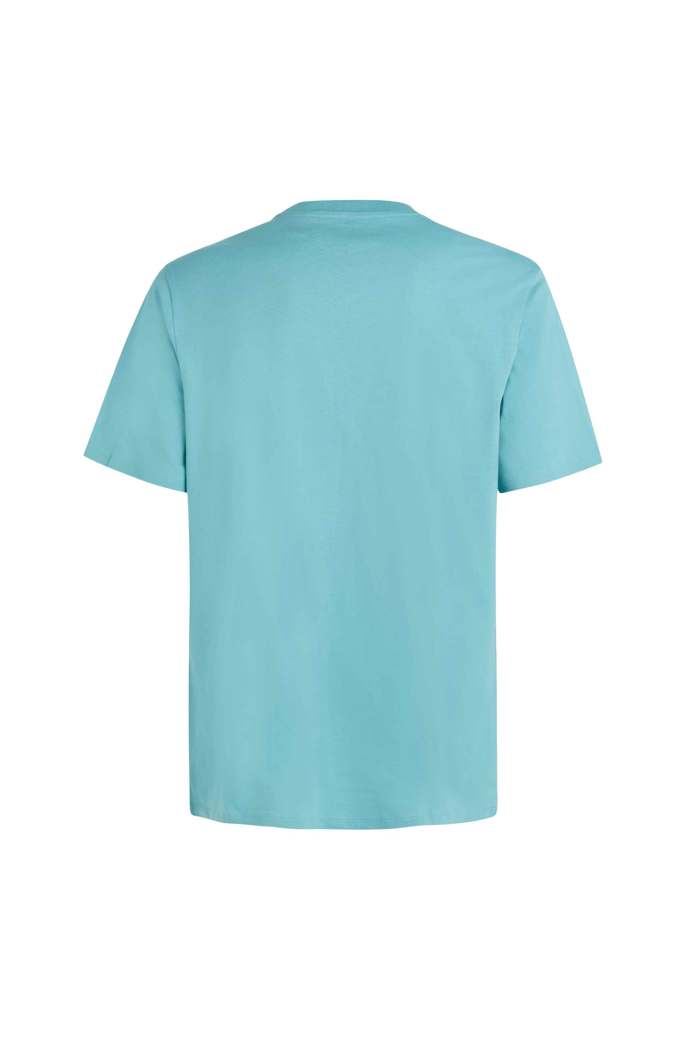 Logo T-shirt O`Neill Turkoois
