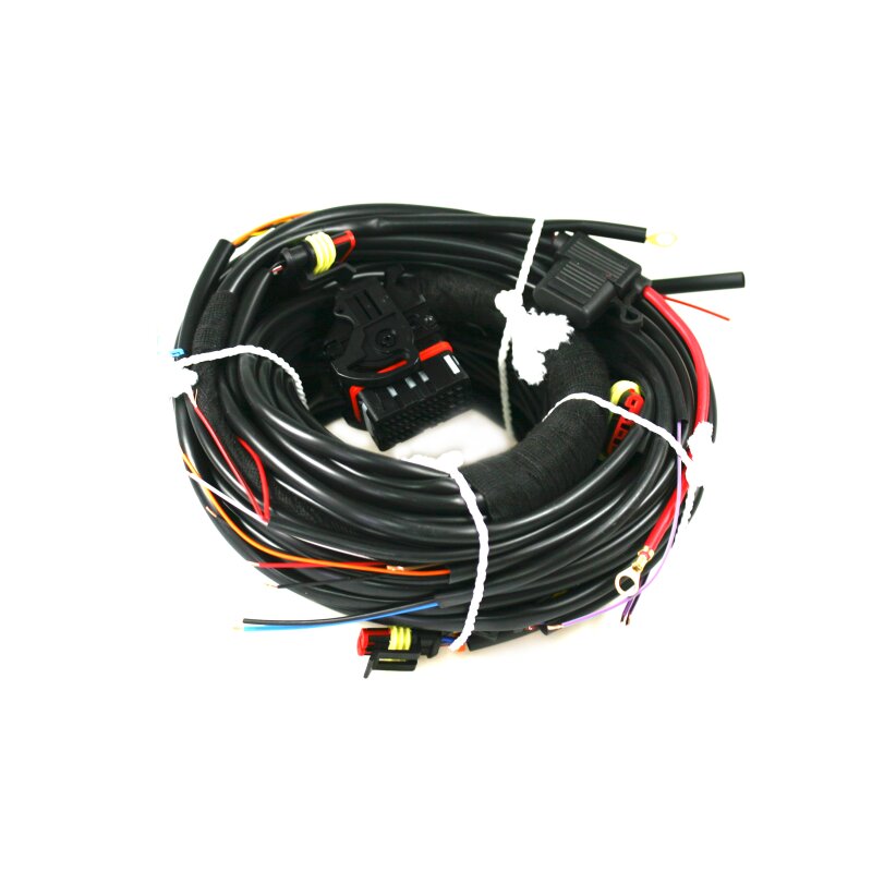 STAG-4 Q-BOX BASIC Kabelbaum