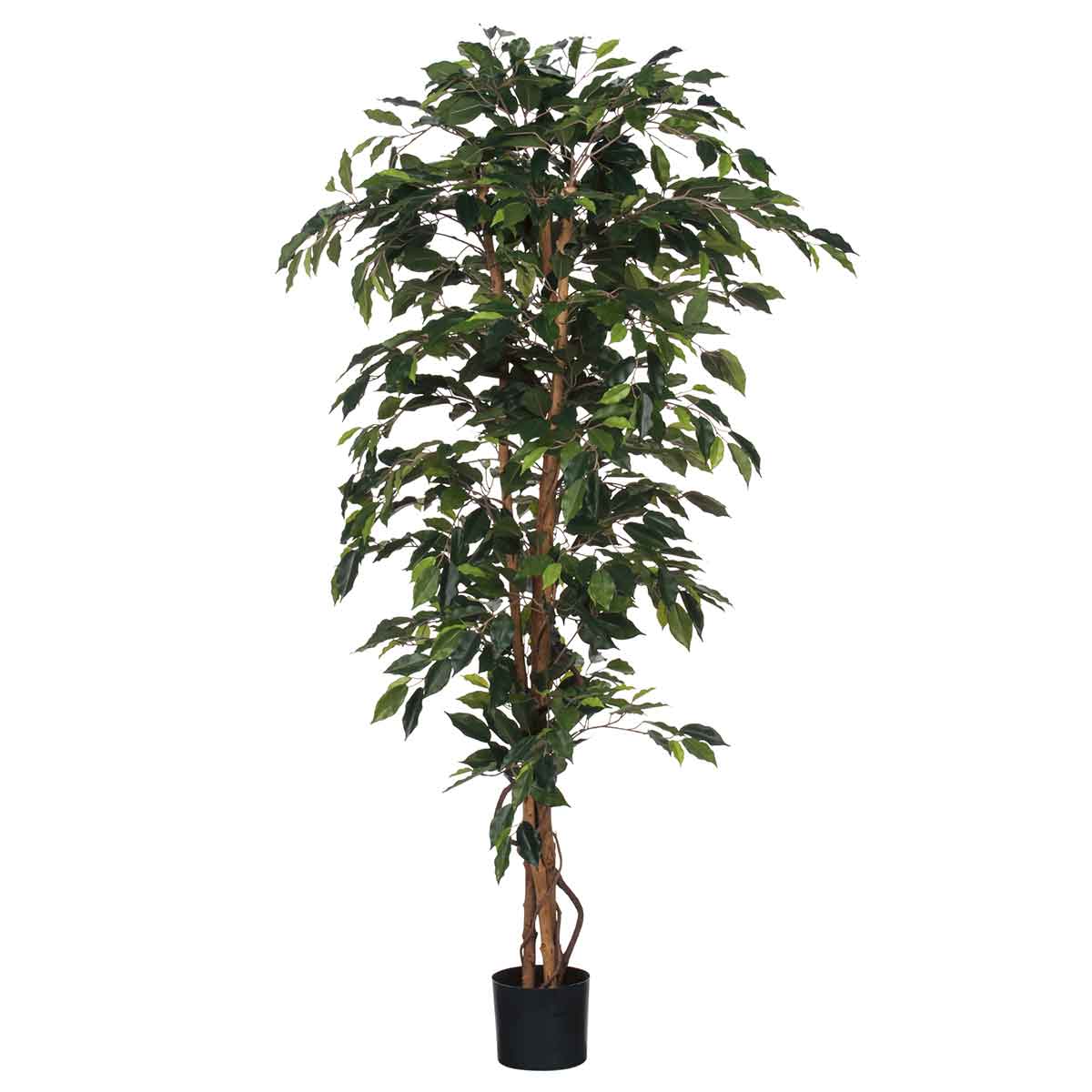 Mica decorations plante artificielle ficus - 100x100x180 cm - pe - vert