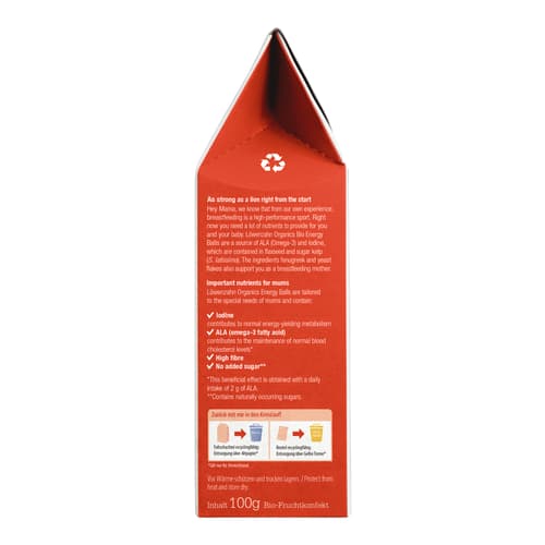 Löwenzahn Organics Bio Energy Balls für Stillende Mango