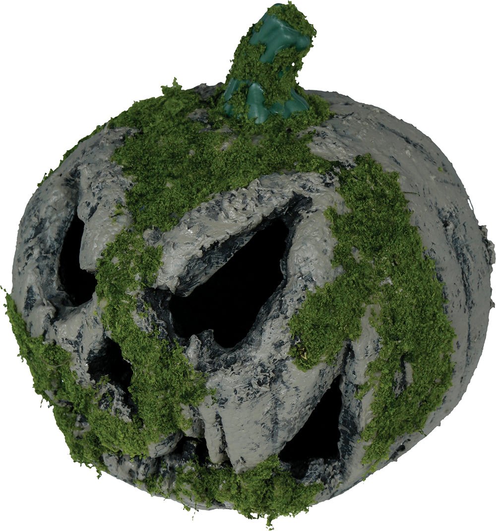Halloween Pompoen Mos Met Licht 20cm