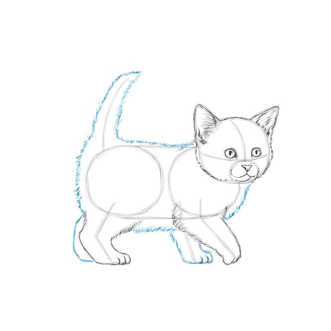 Die Kunst des Zeichnens - Für Kinder - Ich zeichne Katzen