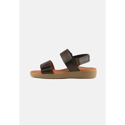 Nature Karen Sandaler, Olive, 38