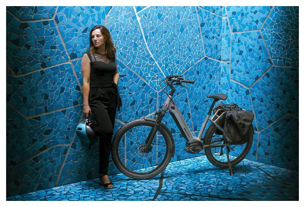 Vélo de Ville Électrique Sunn Urb Skill Shimano Altus 9V 500 Wh 650b Gris