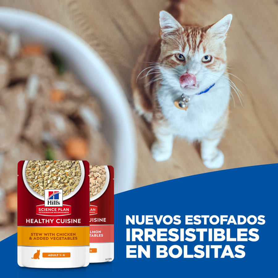 Sachê de Ensopado de Frango e Legumes Hill's Science Plan Kitten Healthy Cuisine