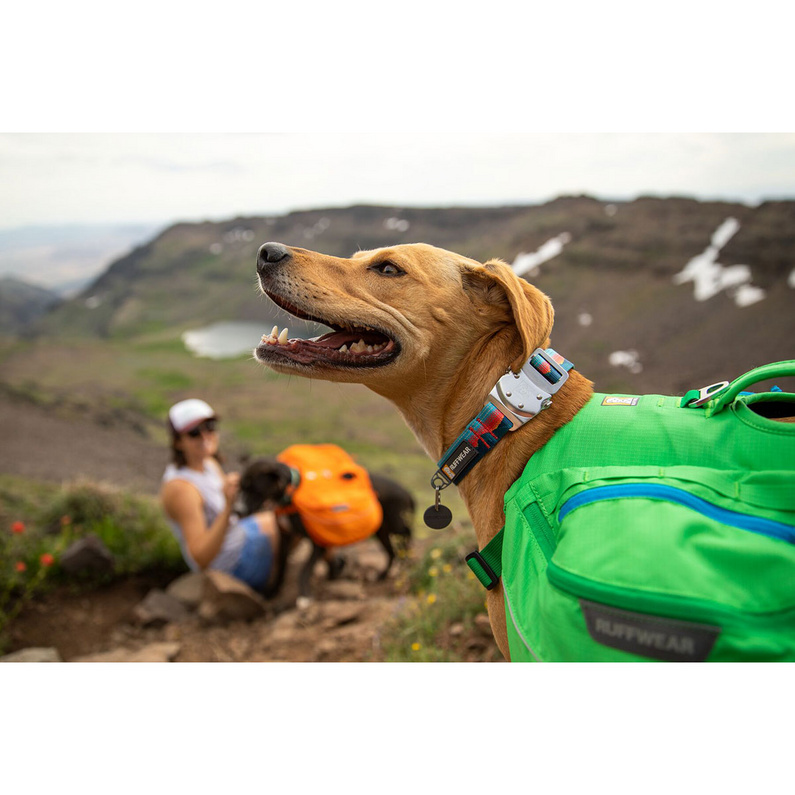 Ruffwear Top Rope Collar Hundehalsband