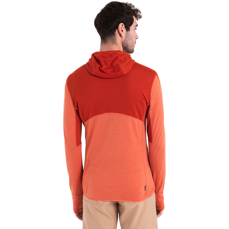 Icebreaker Herren Realfleece Descender Jacke