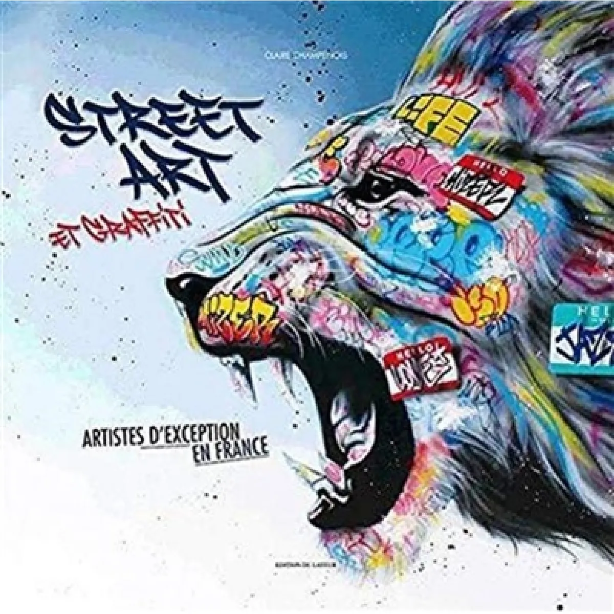 Street art et graffiti : artistes d'exception en France · Occasion