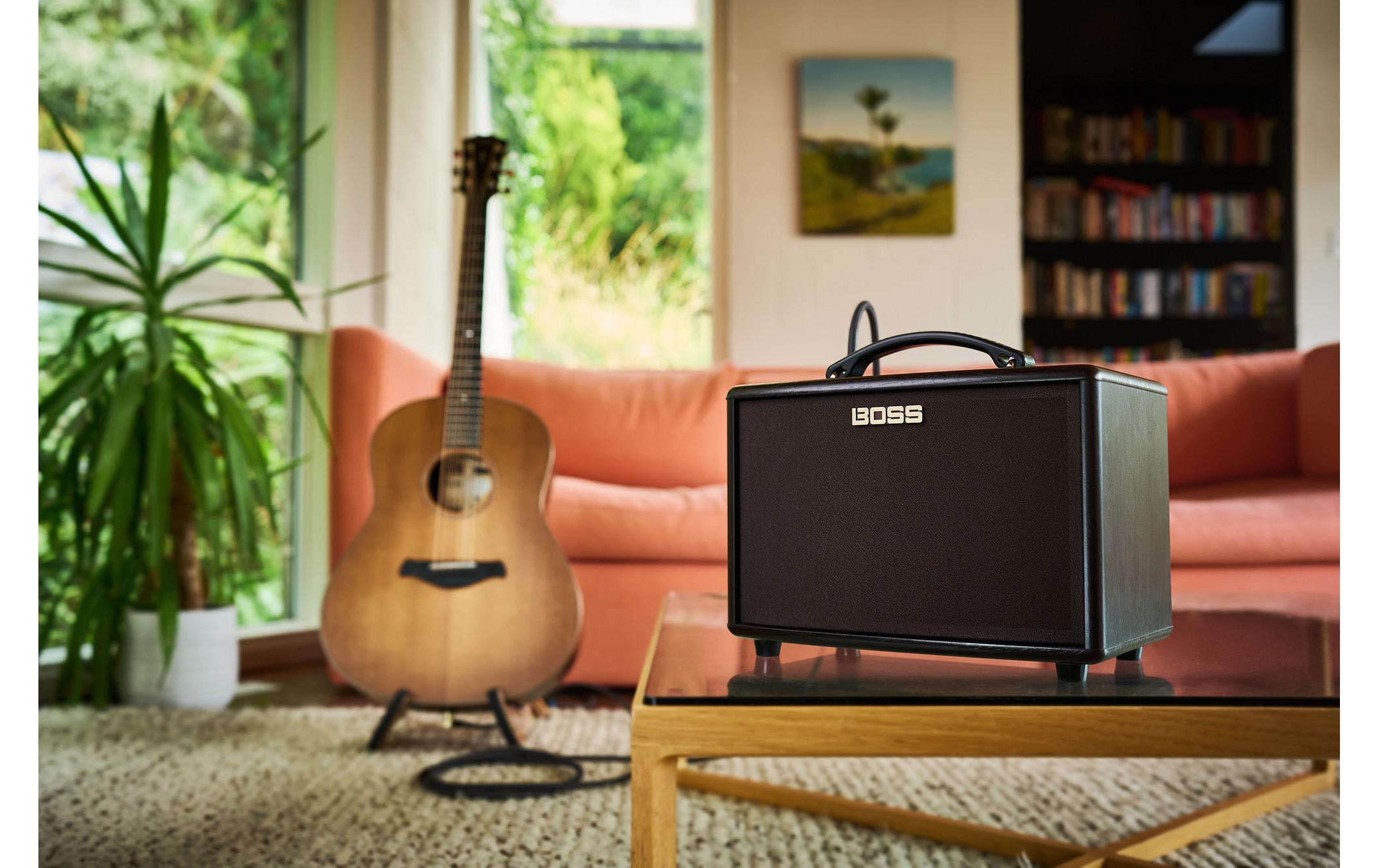 Combo AC-22LX<br>Immersives akustisches Erlebnis