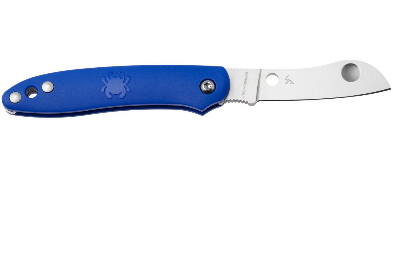 Spyderco Roadie Blue C189PBL zakmes