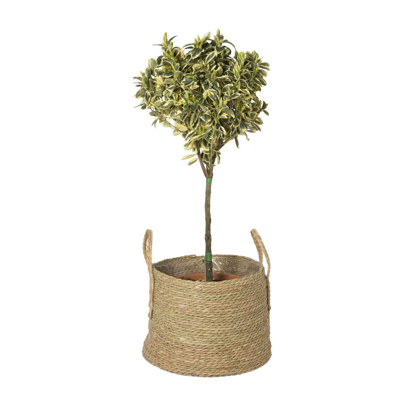 Bloempot Guus - ø40x29 cm