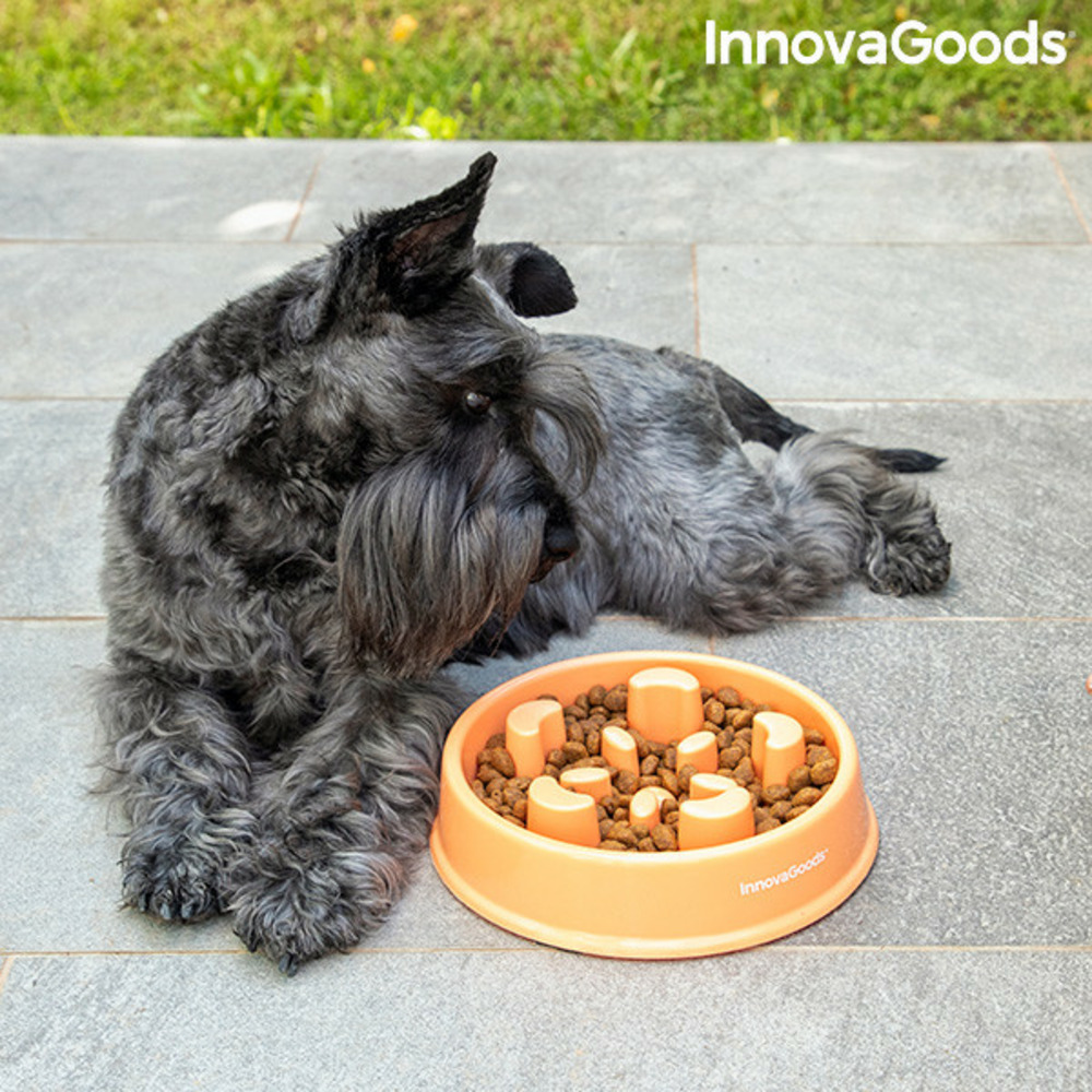 Gamelle à alimentation lente pour animaux de compagnie slowfi