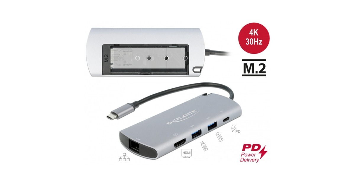 DeLOCKUSB Type-C Docking Station met M.2 Slot  (Grijs)