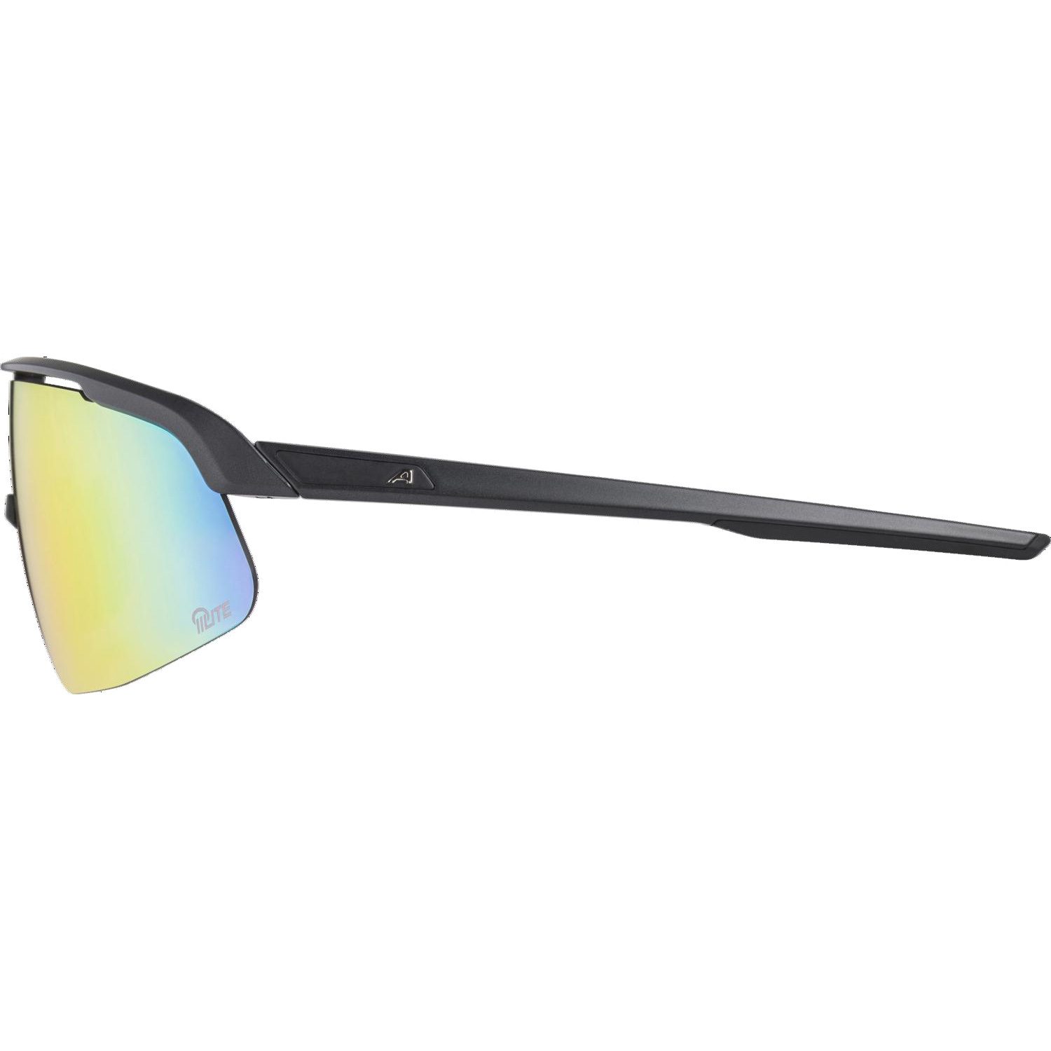 Alpina Turbo Pro S Q-Lite Sportbrille black matt