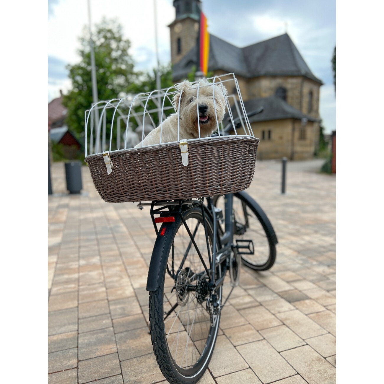 Aumüller Fahrradkorb mit Schutzgitter für den Gepäckträger grau