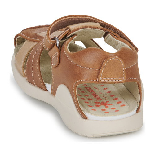 Biomecanics - 232258 - Cognac
