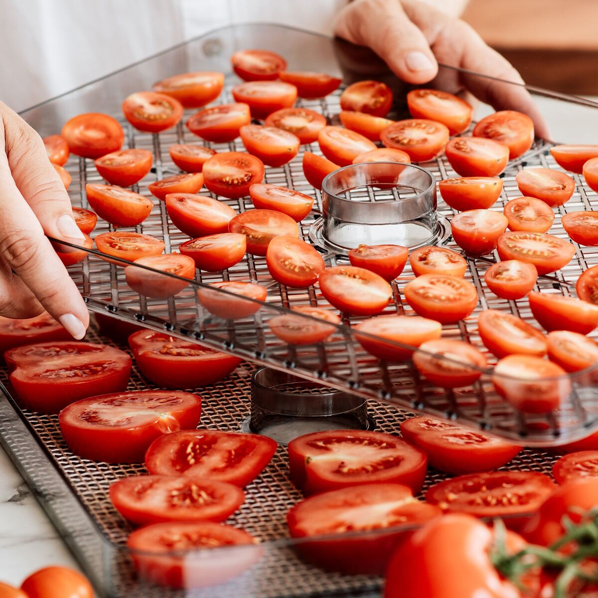 Dehydrator tørkeovn 5 lag