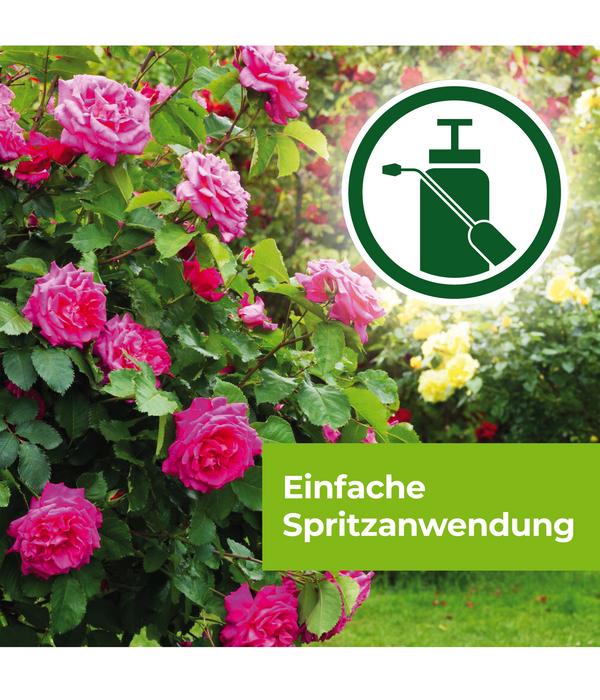 PROTECT GARDEN Curamat AZ Rosen-Pilzfrei,