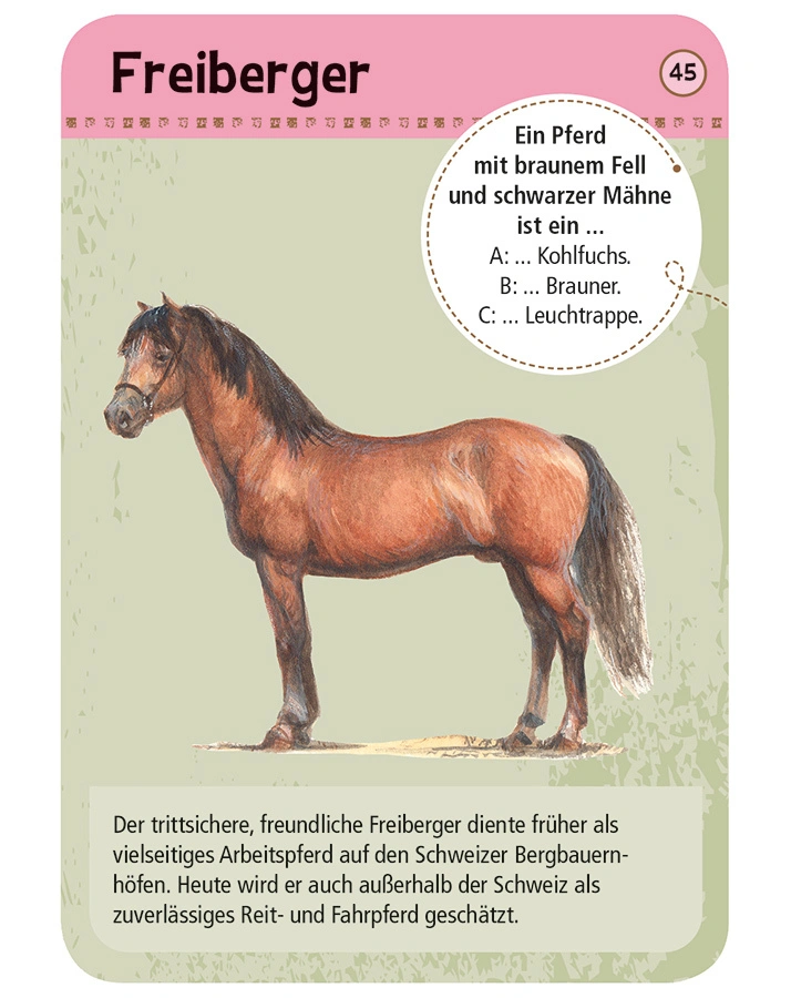 50 Pferde & Ponys erkennen & bestimmen