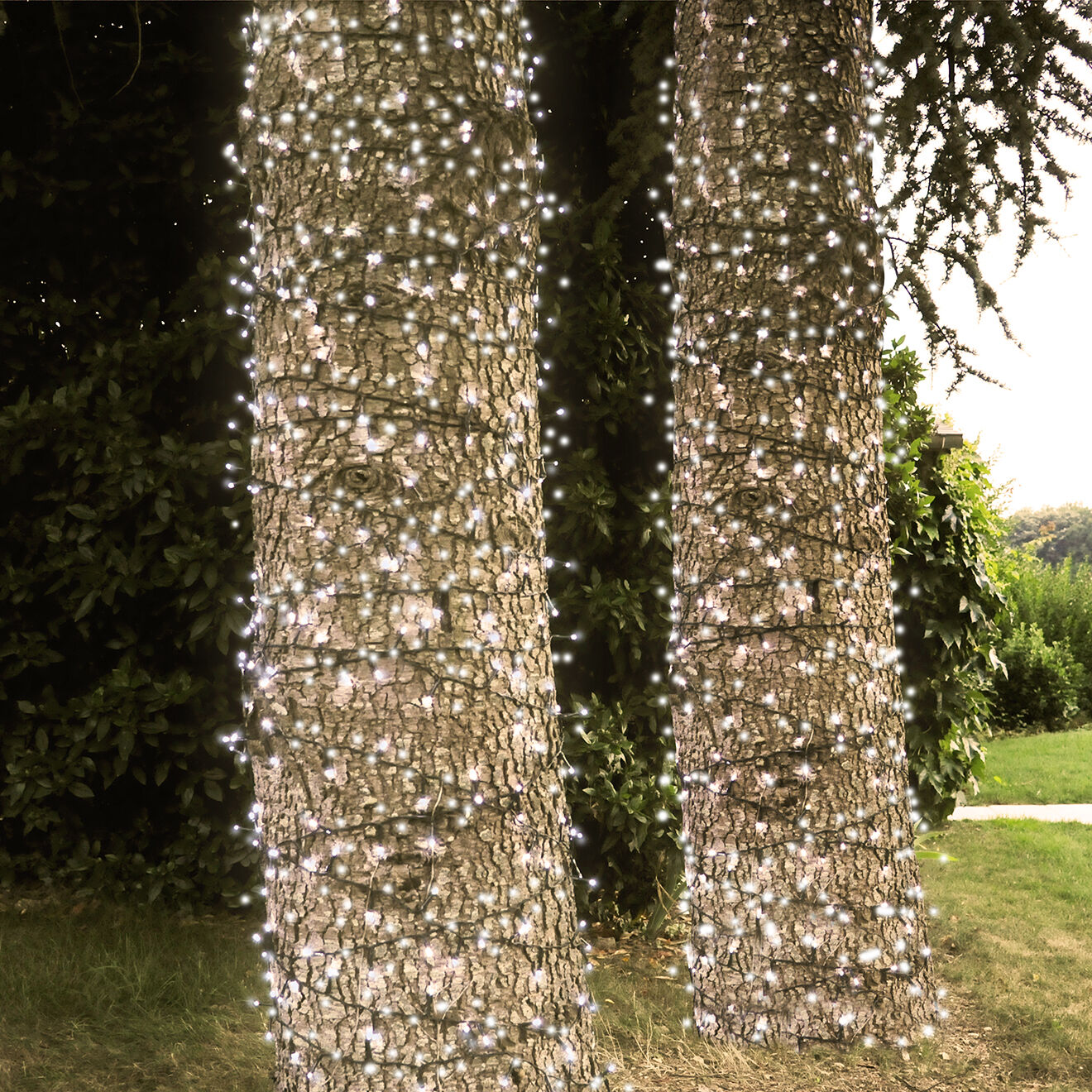Pratik Garden Guirlande solaire 400 LED blanche - 25.9 m