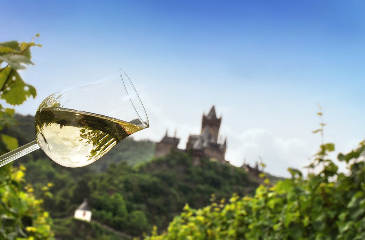 Weinausflug und Schifffahrt auf der Mosel Klotten