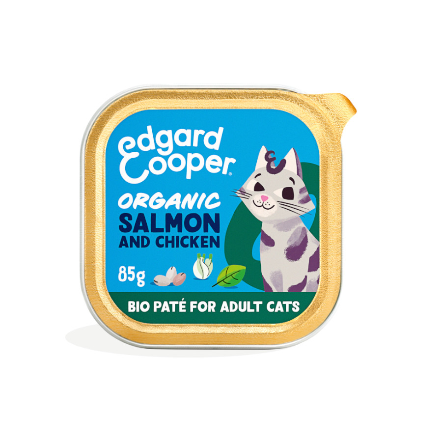 Patê orgânico de salmão e frango para gatos adultos da Edgard & Cooper.