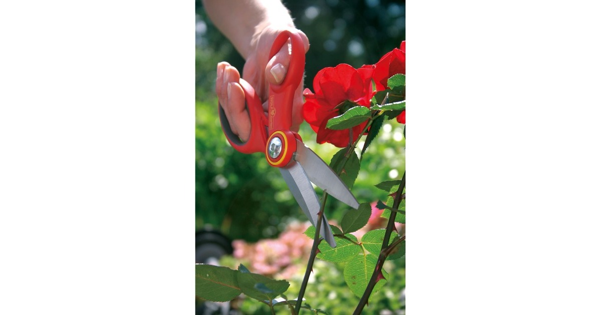 WOLF-GartenRA-X Tuinschaar snoeischaar  (Rood/geel)