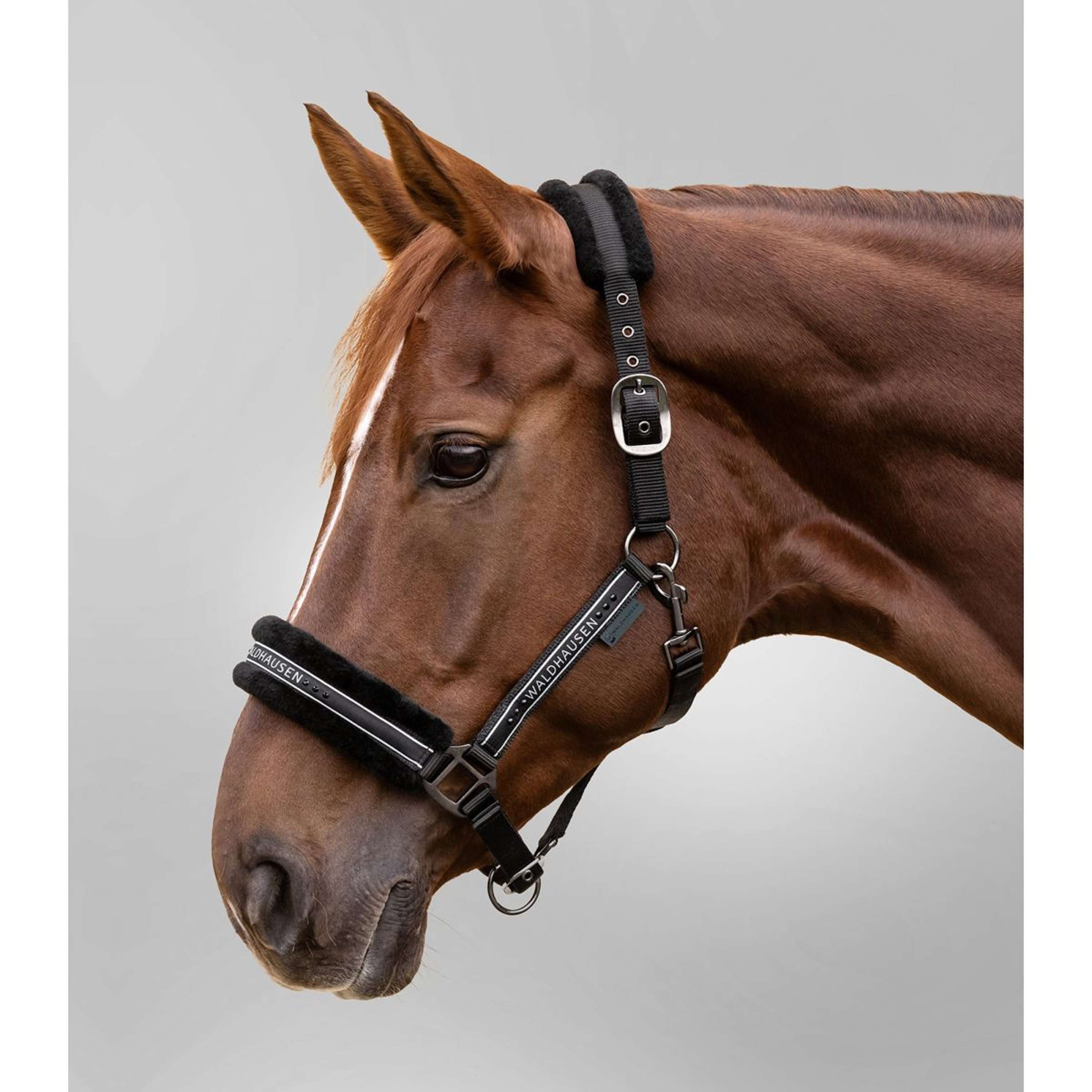 Waldhausen Halster Elegant Zwart/Zwart