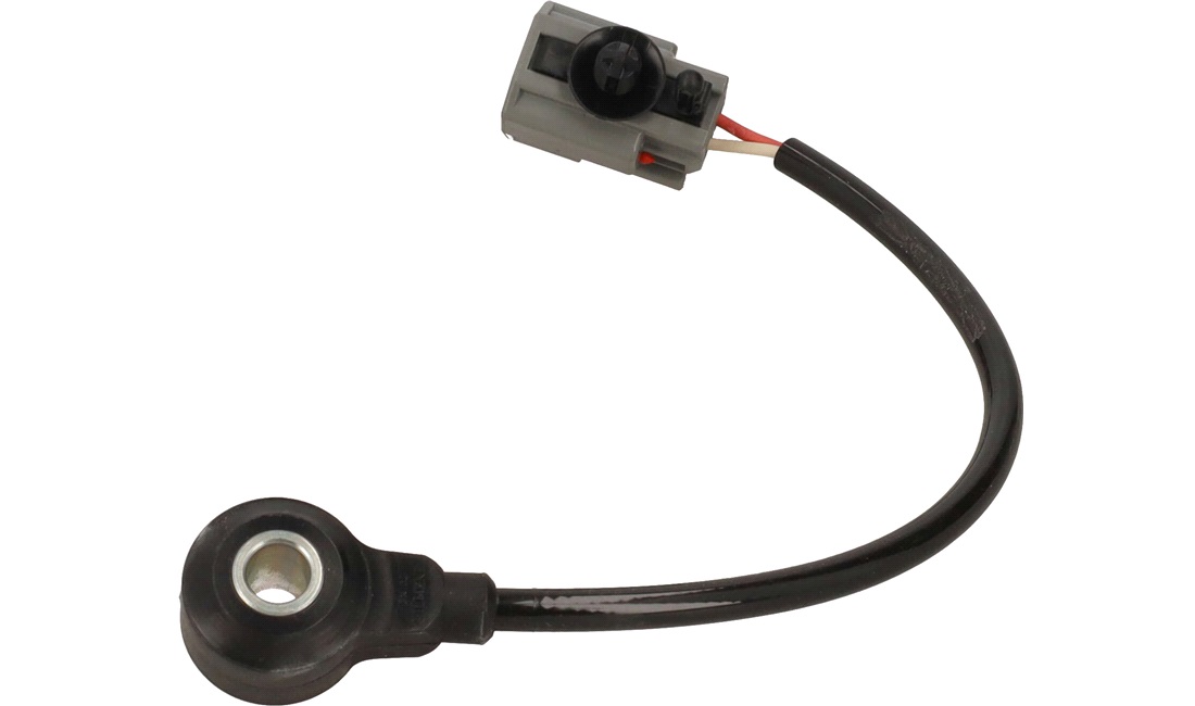 Bankesensor