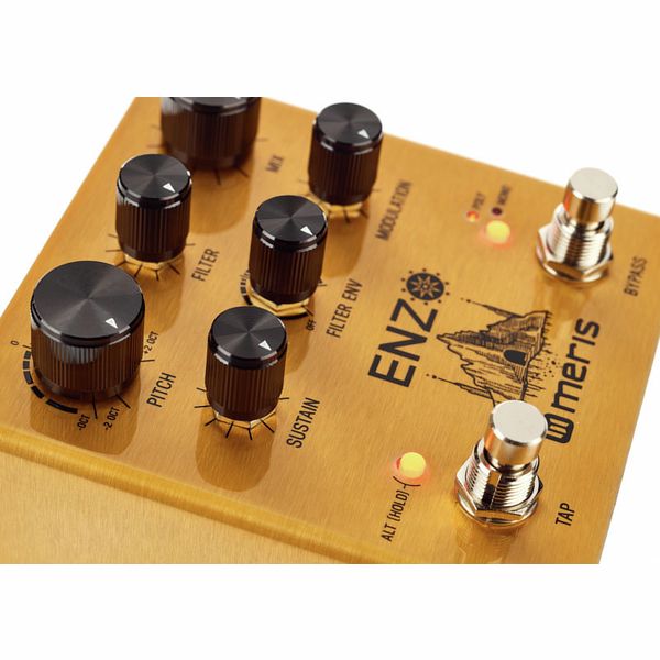 Meris Enzo Multi-Voice Synthesizer