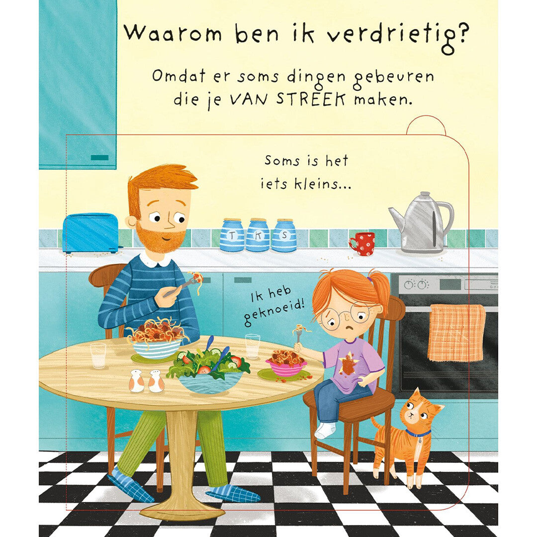 Usborne waarom ben ik (soms) verdrietig?