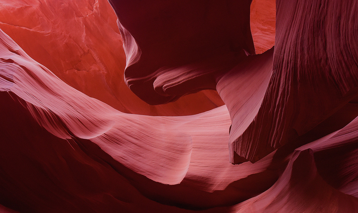 Schilderij Art of nature 006 70 x 118 cm