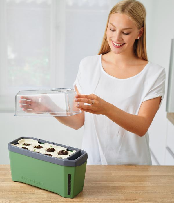 Gusta Garden Kräutertopf Harry Herbs mit