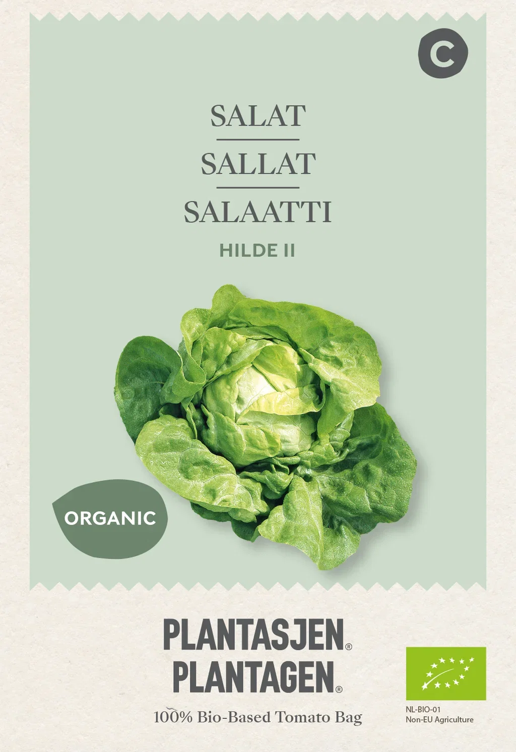 Plantagen Salat 'Hilde II'
