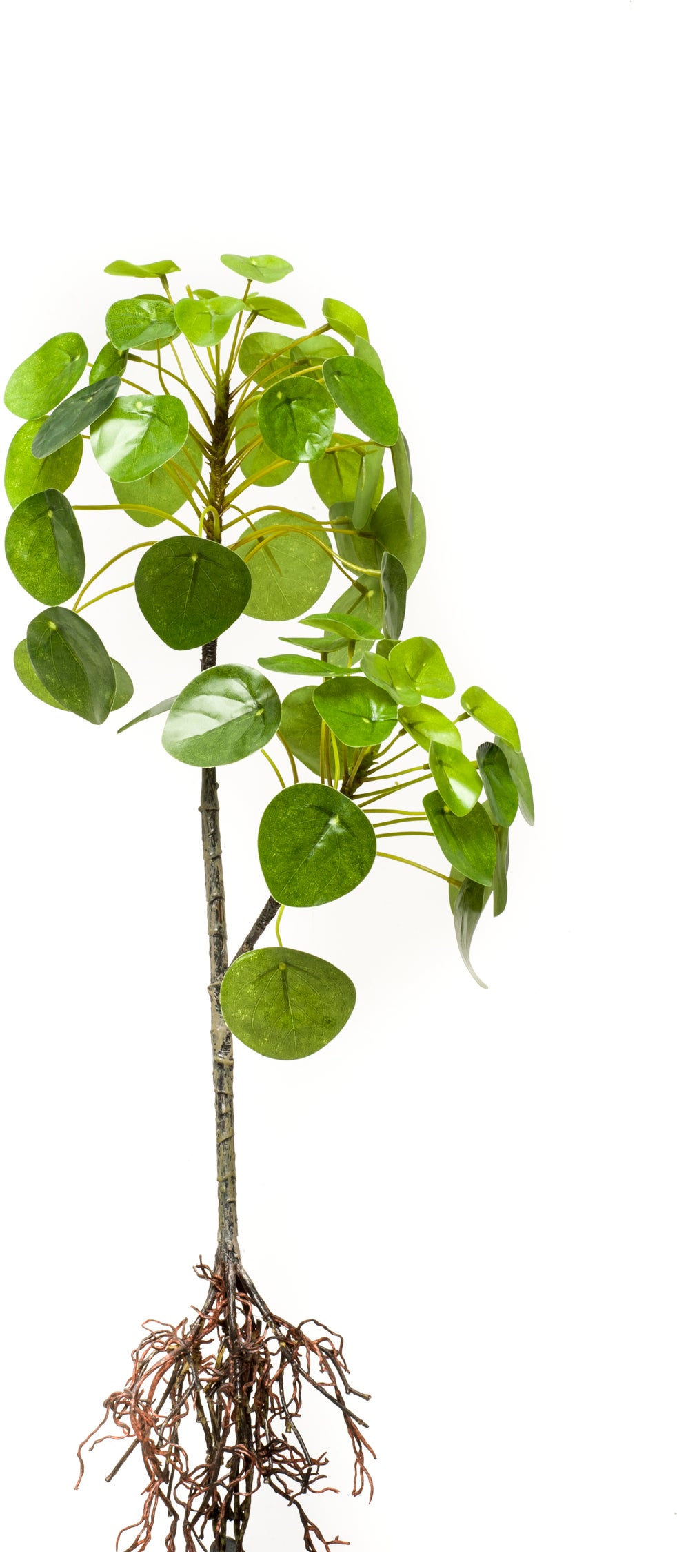 Emerald kunstplant pannenkoekplant met wortel