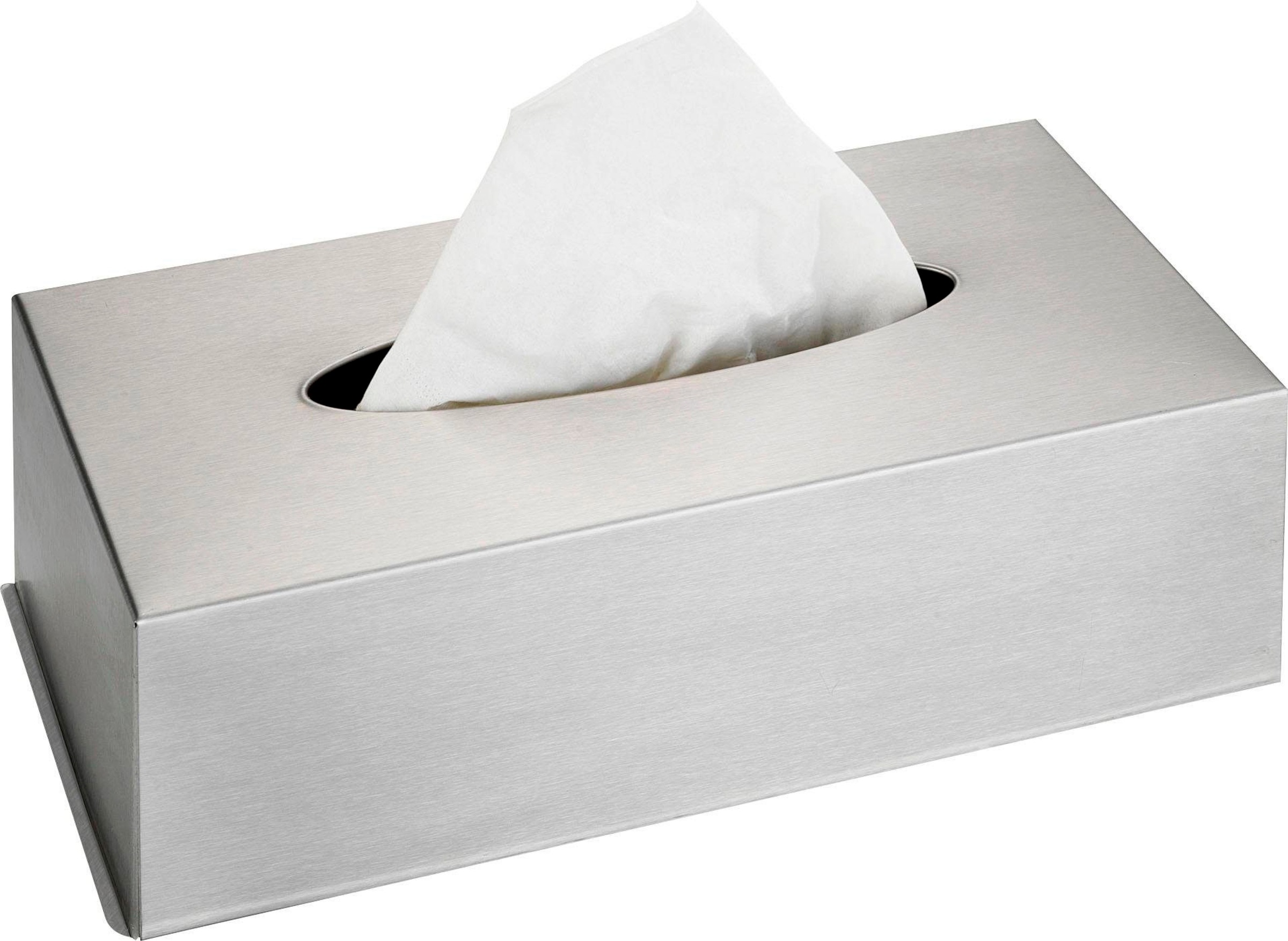 WENKO Kosmetikbox für Kosmetiktücher, Edelstahl