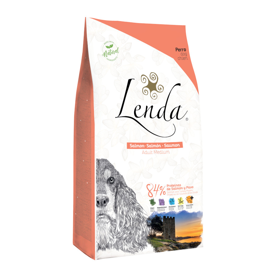 Ração Lenda Original Salmão para cães