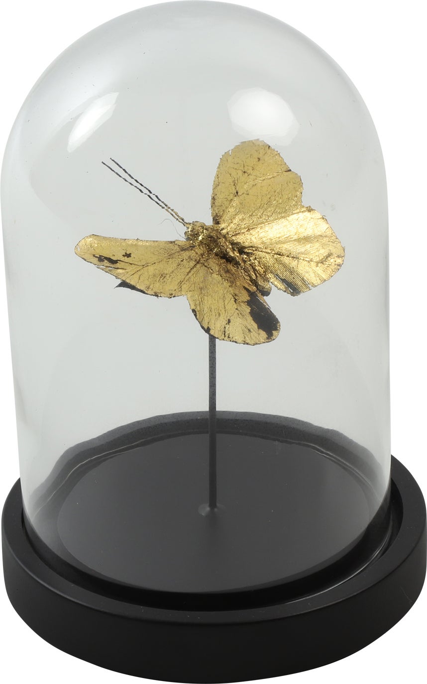 Countryfield glazen stolp Yasmin goud / zwart D 11,5 H 16 cm