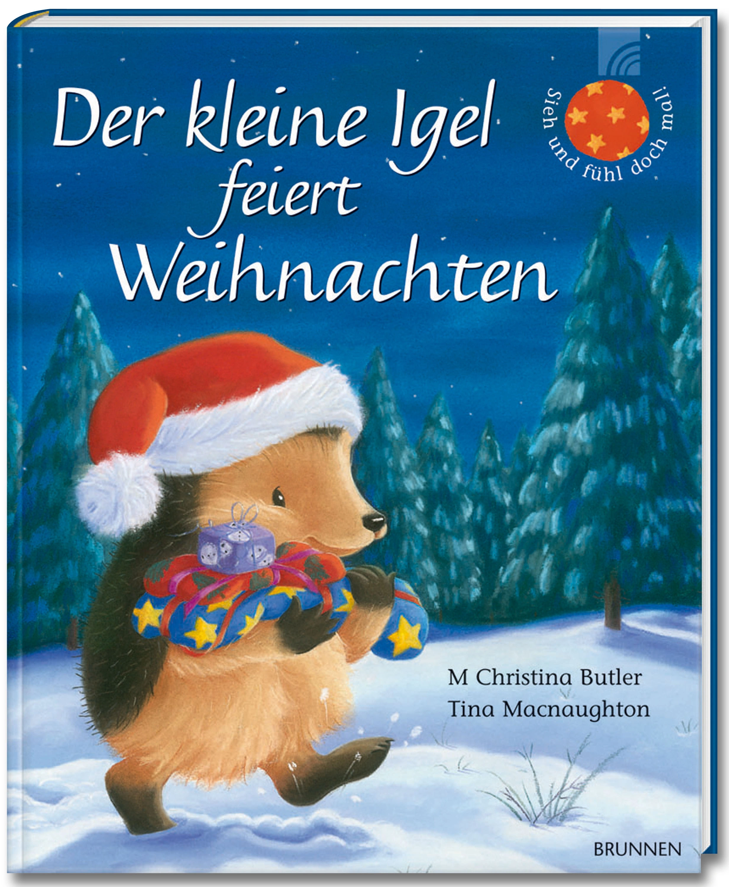 Sieh und fühl doch mal! / Der kleine Igel feiert Weihnachten