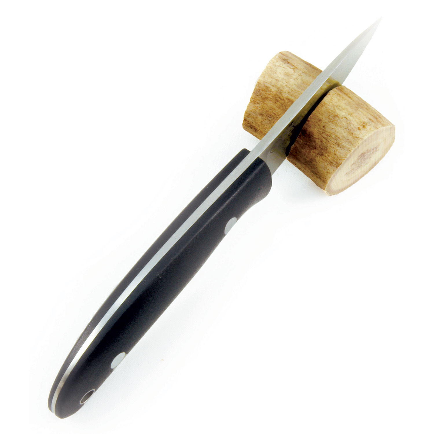 Casström Safari G10