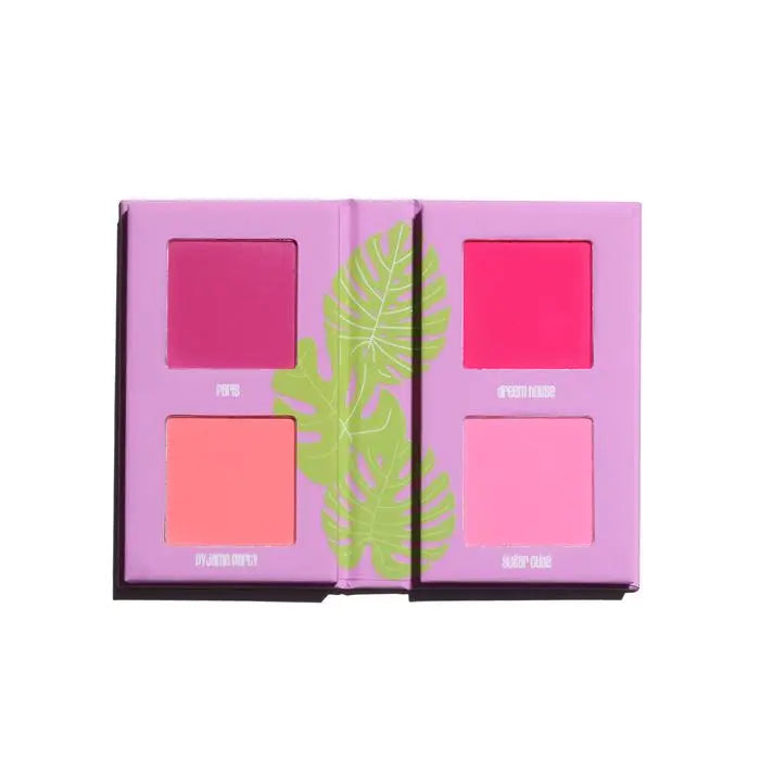 Mini Blursh Book Living In Pink