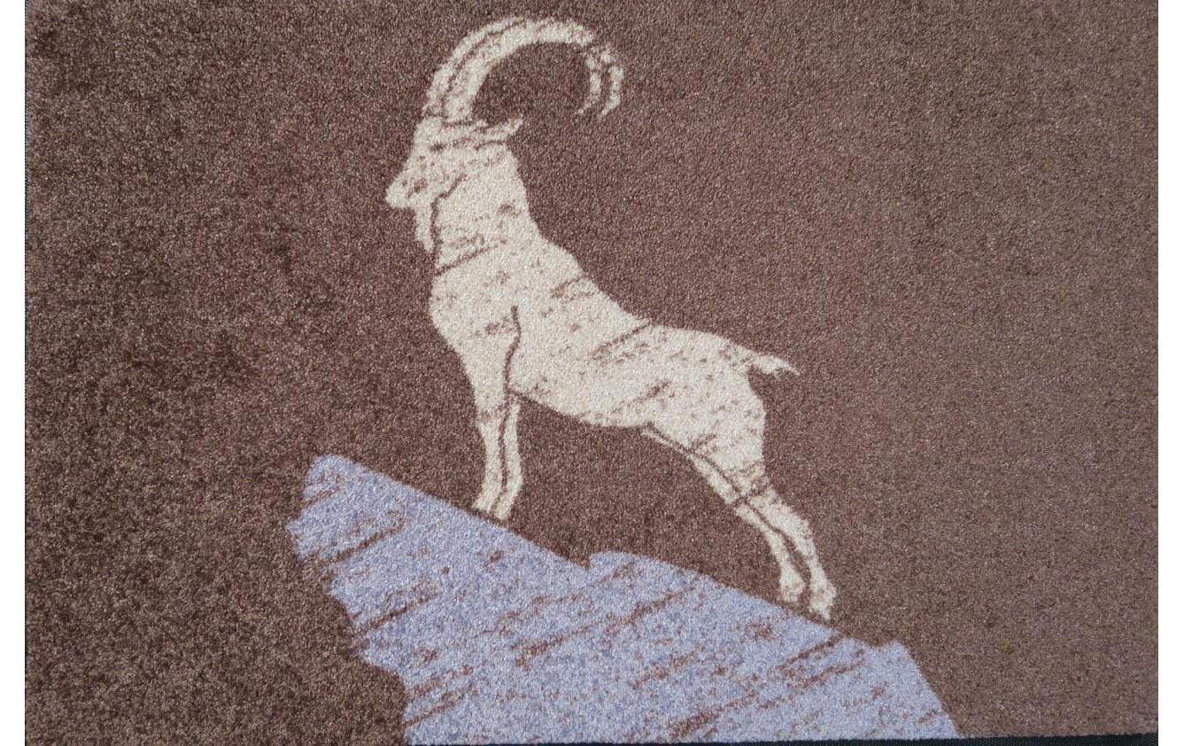 Fussmatte Steinbock, Braun, 50 cm x 75 cmPflegeleichte und rutschfeste Schmutzfangmatte