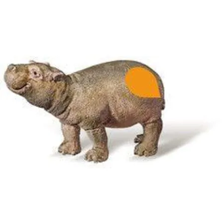 Ravensburger tiptoi Flusspferd Kalb