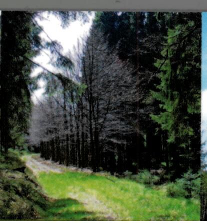 GERFAUT EDITION - 15 RANDOS EN ARDENNE TOME1